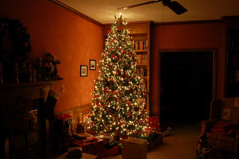 Christmas 0465.JPG